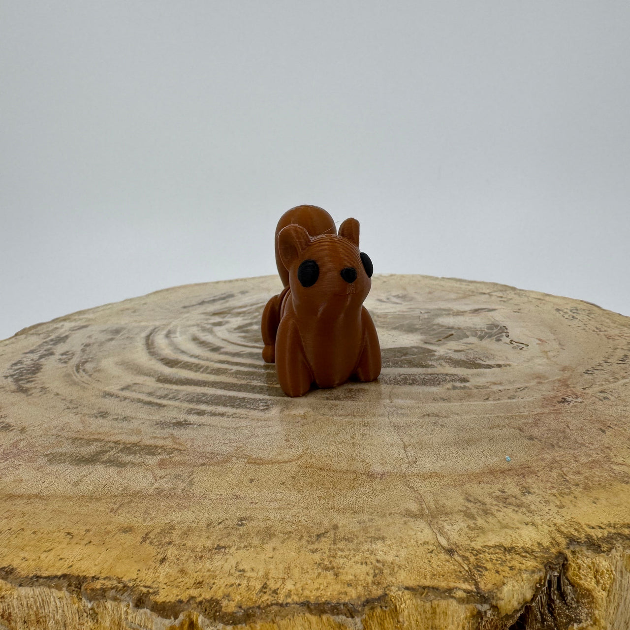 Squirrel