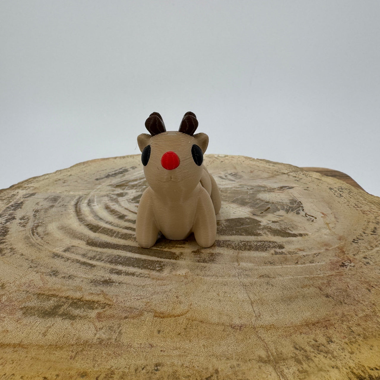 Reindeer