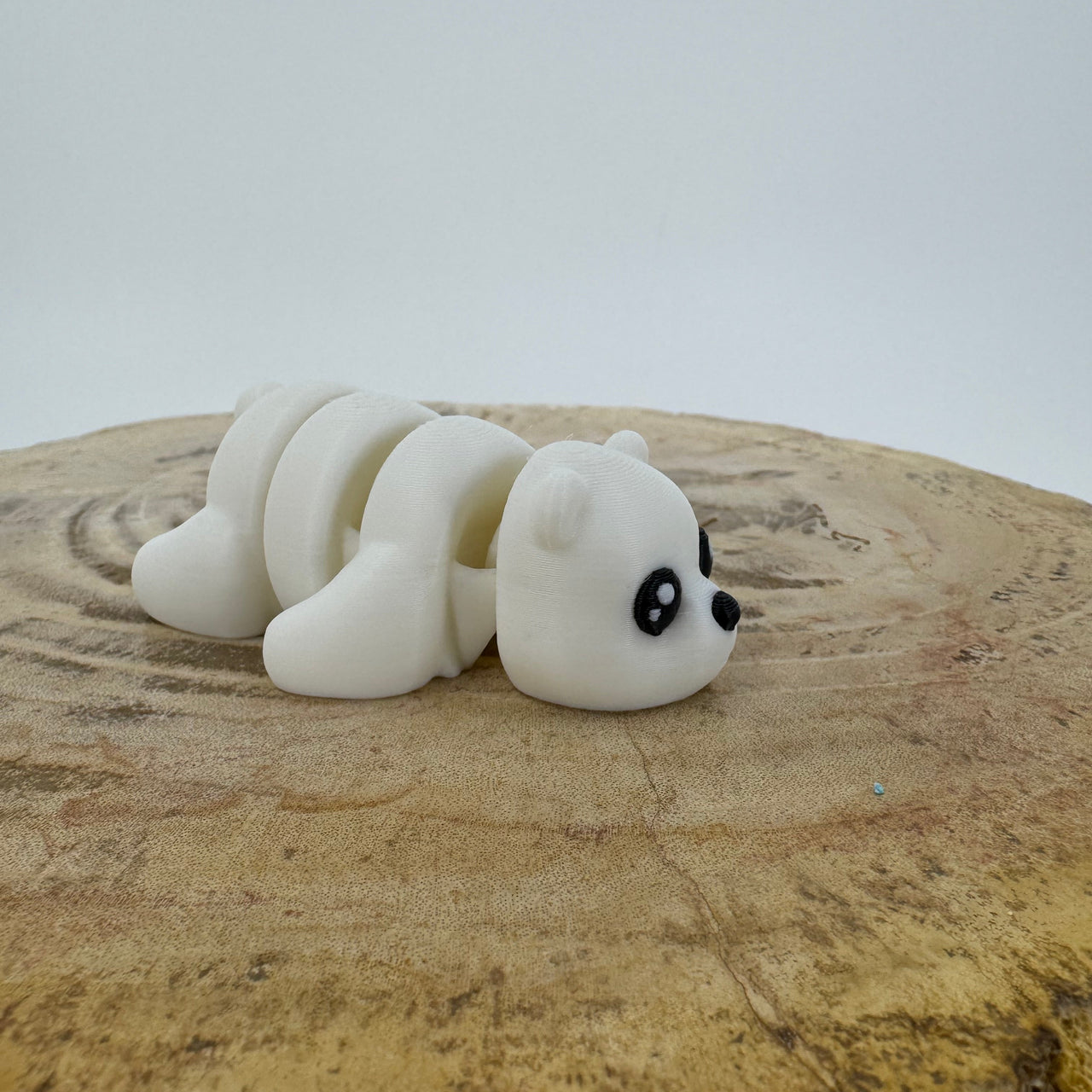 Polar Bear