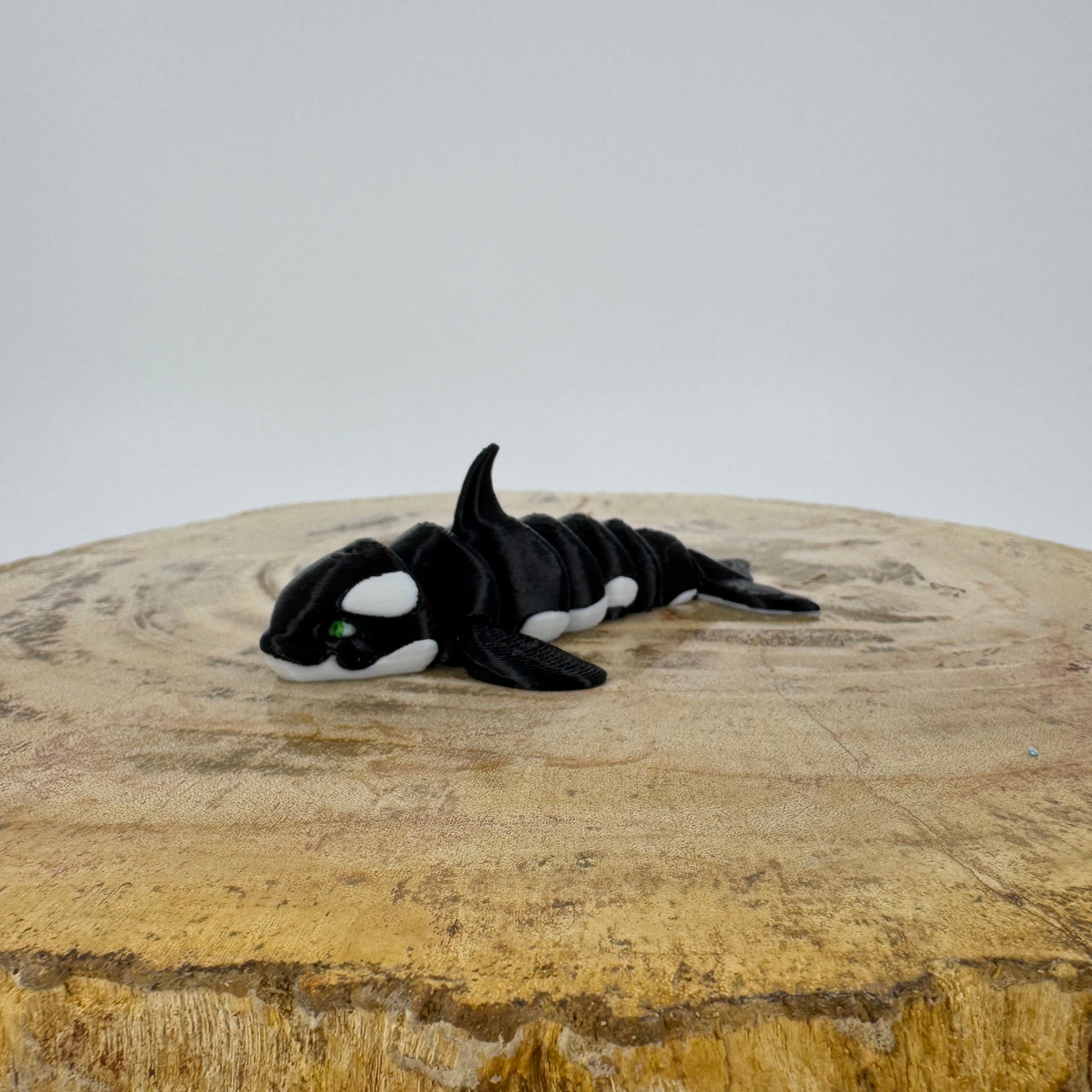 Orca