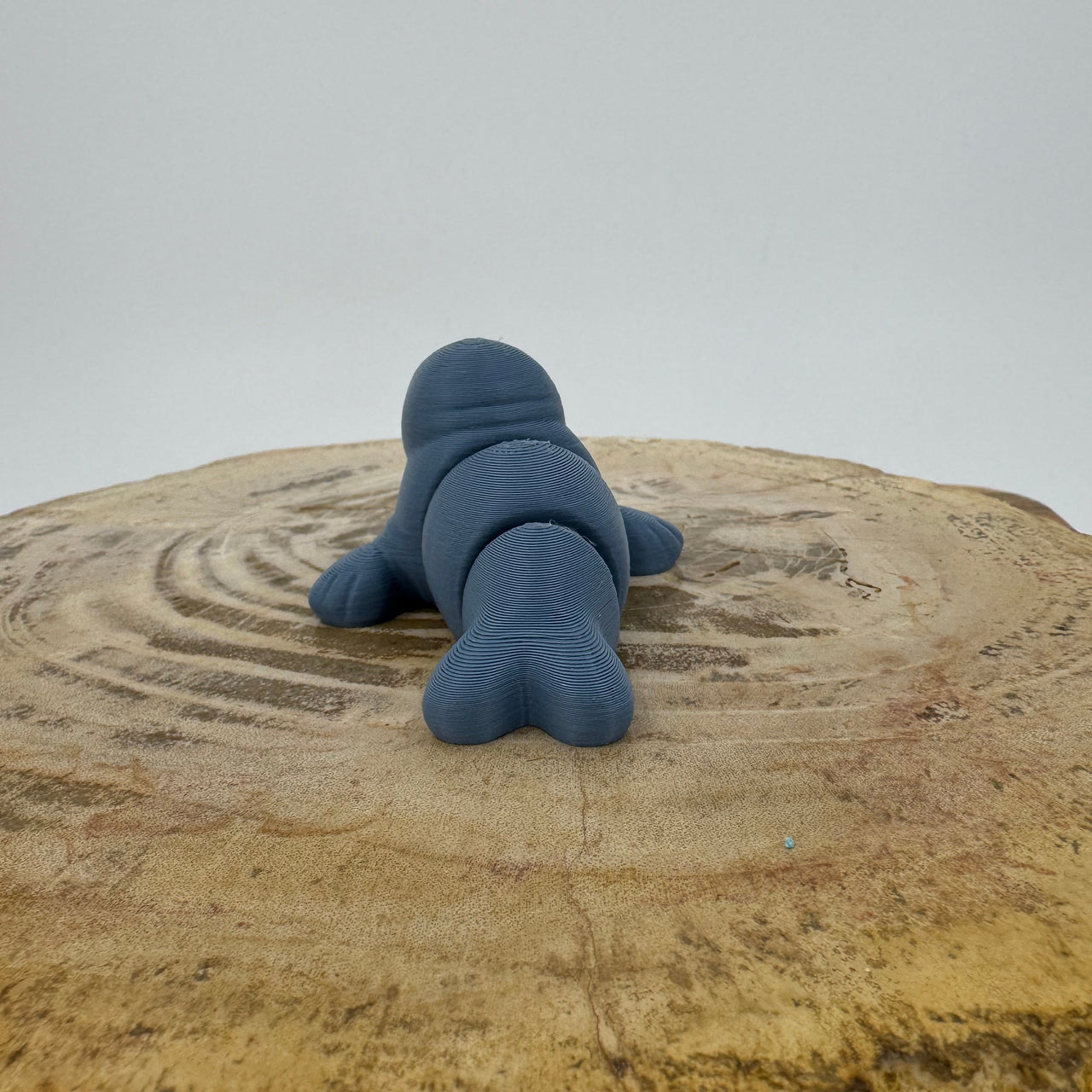 Seal