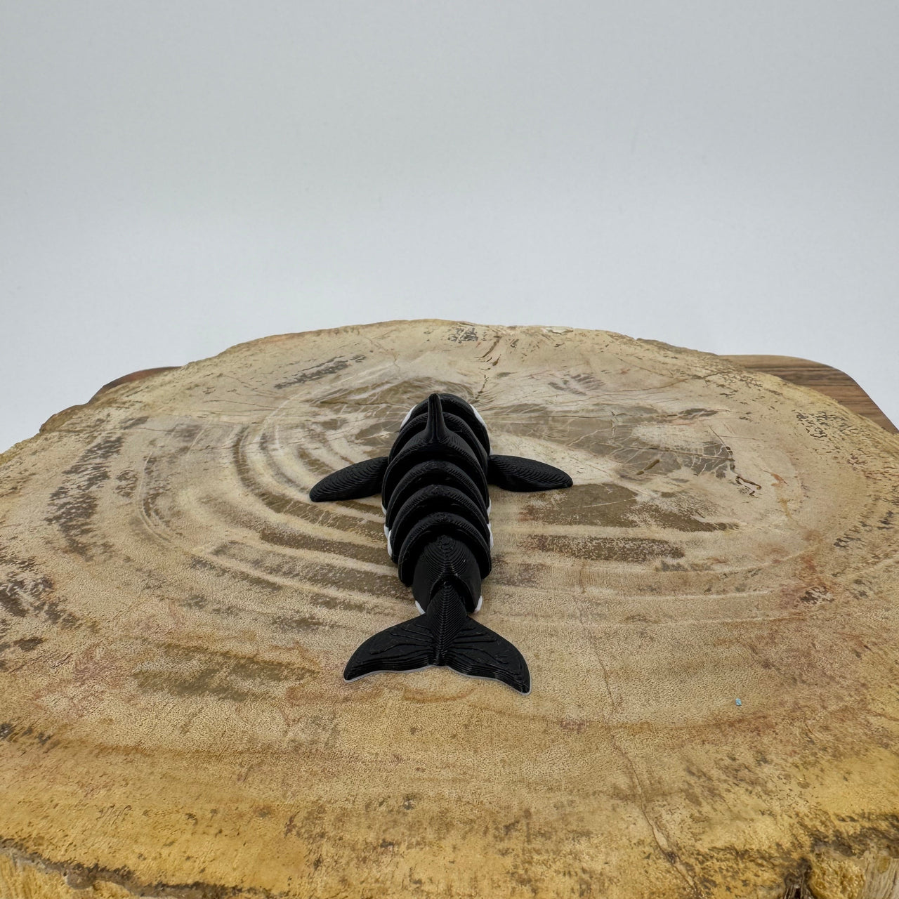 Orca