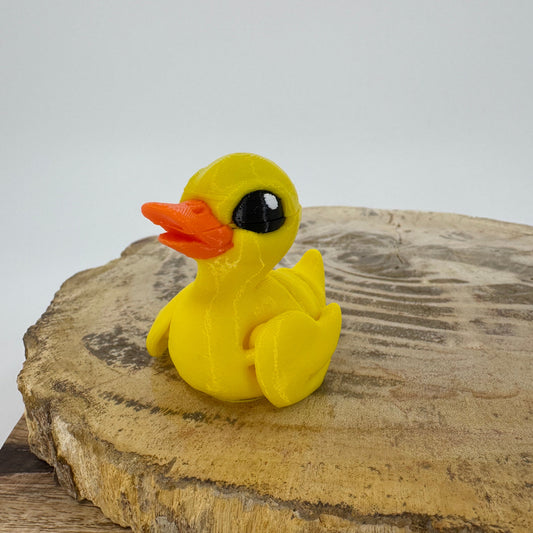 Duck