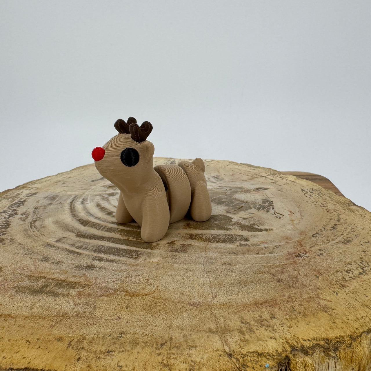Reindeer