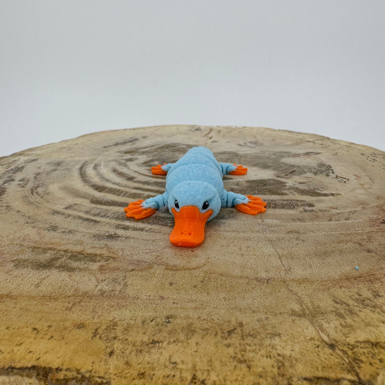Platypus