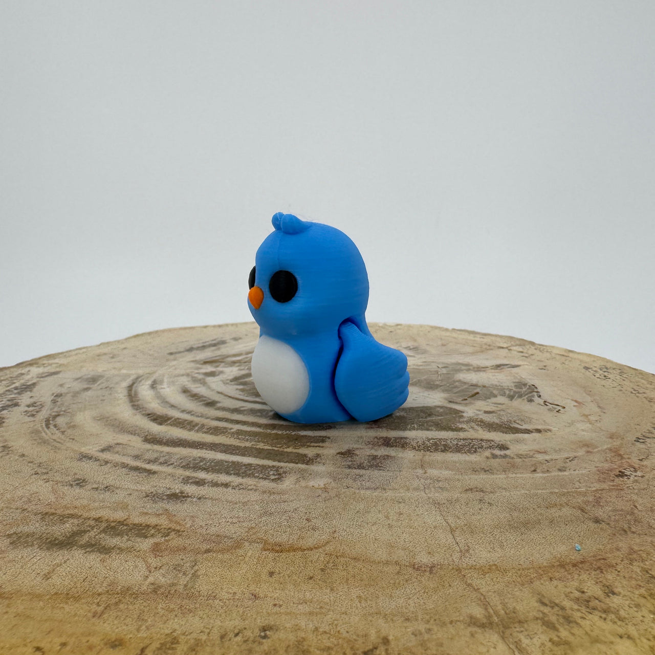 Lovebird