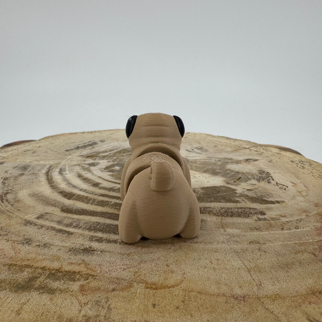 Pug