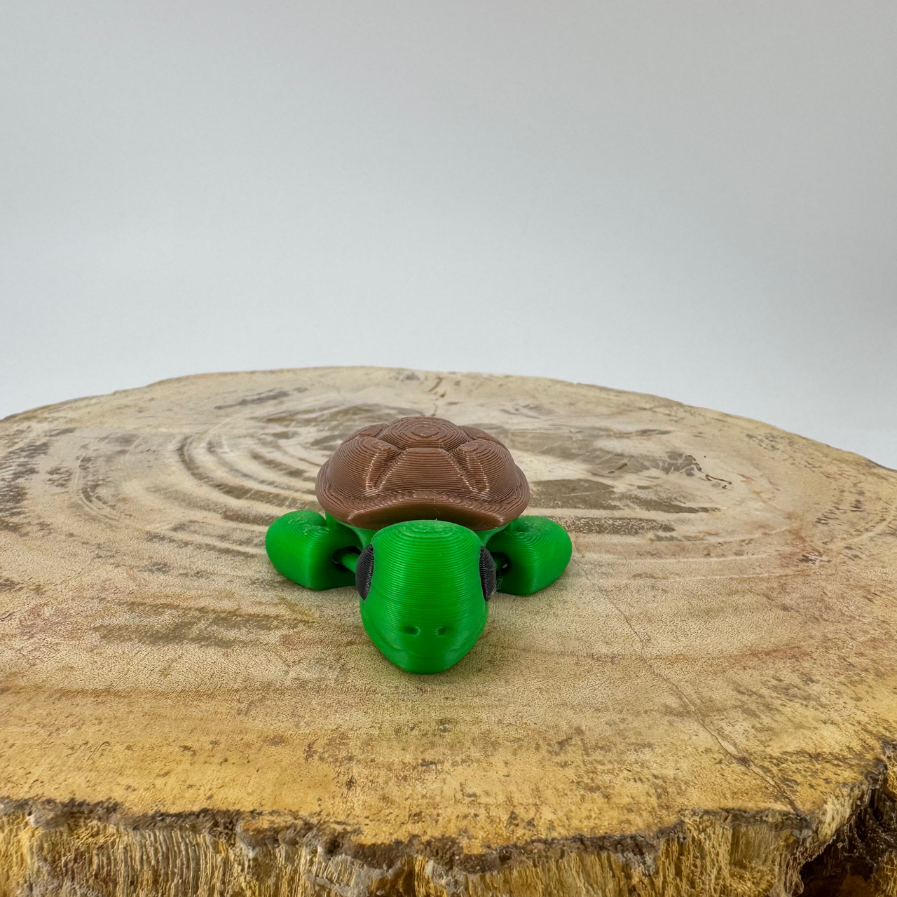 Turtle