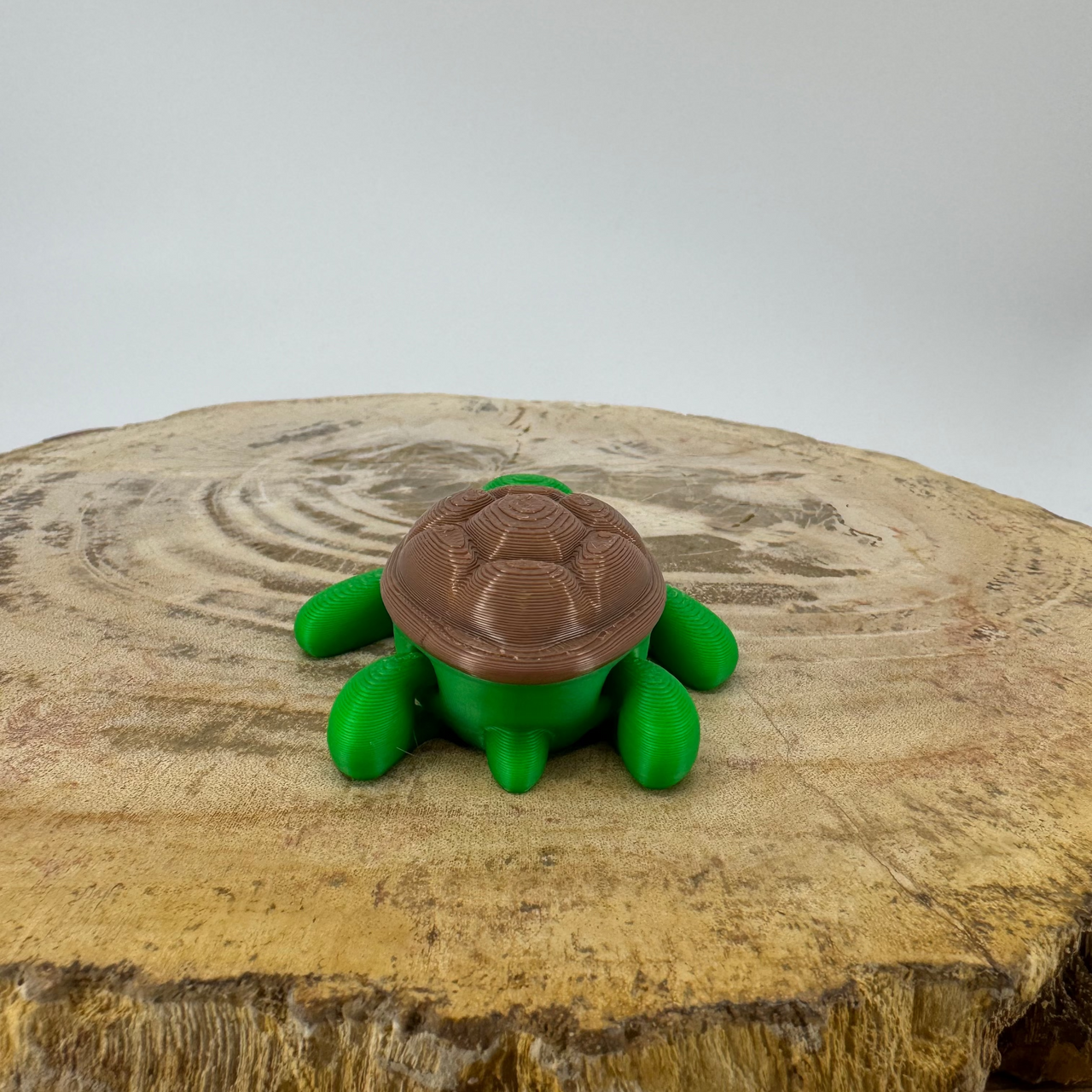 Turtle