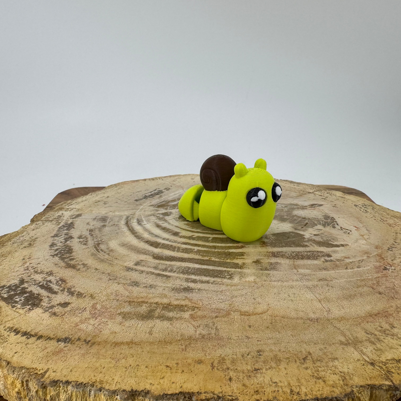 Snail