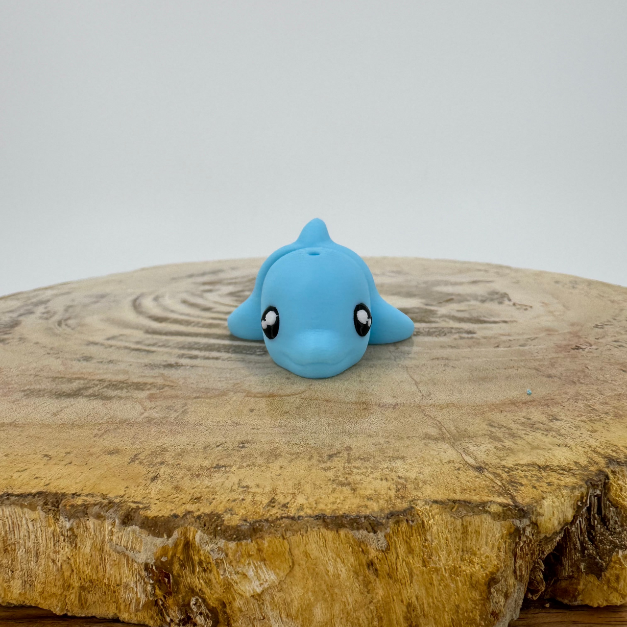 Dolphin