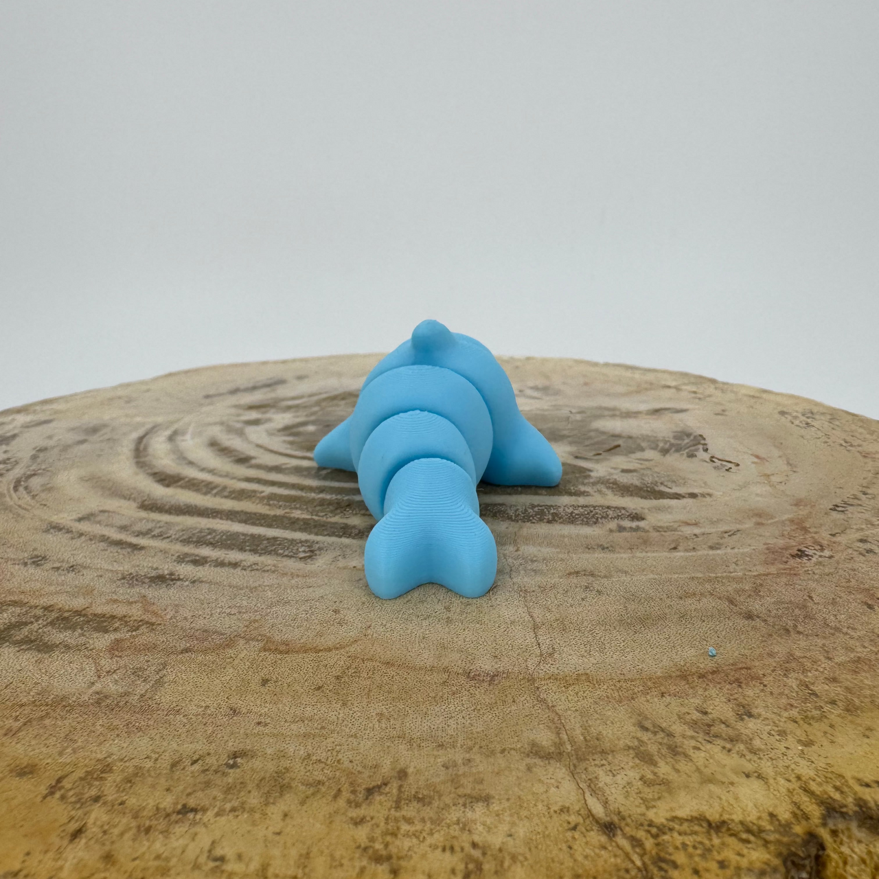 Dolphin
